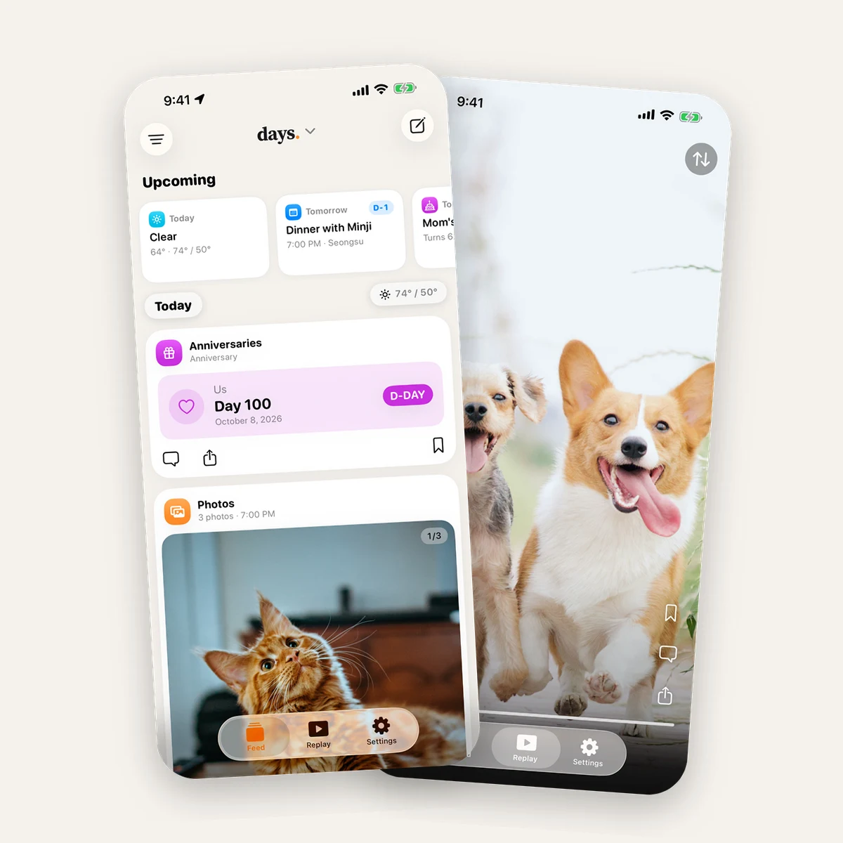 The days feed with an anniversary and a photo post, next to Replay showing two dogs running